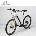 Mais recente bafang 8fun mid motor e-bike mtb bicicleta suspensão completa